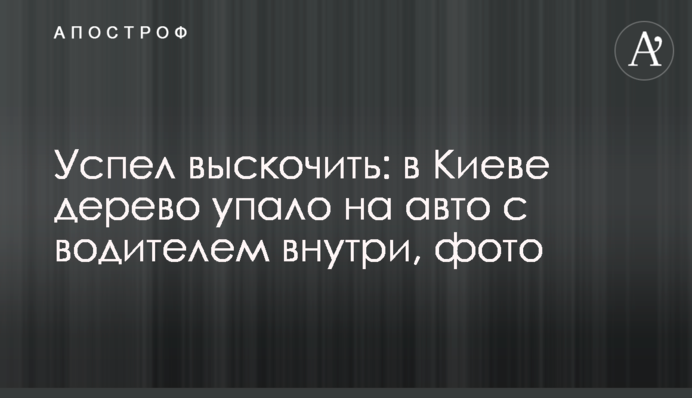 Успел выскочить: в Киеве дерево упало на авто с водителем внутри, фото