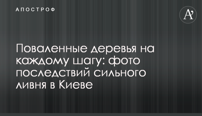 Повалені дерева на кожному кроці: фото наслідків сильної зливи в Києві