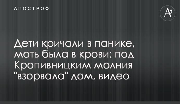 Дети кричали в панике, мать была в крови: под Кропивницким молния 