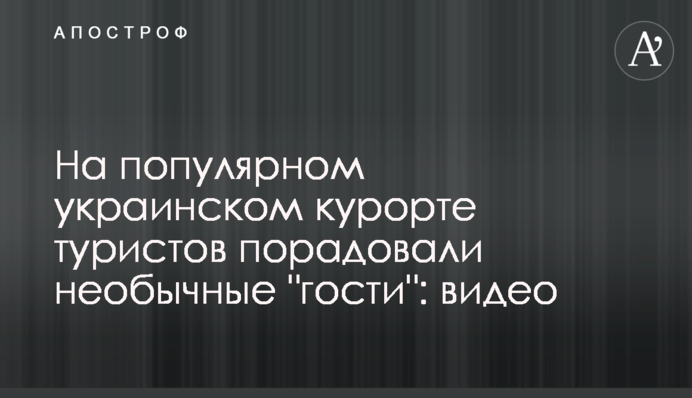 На популярному українському курорті туристів порадували незвичайні 