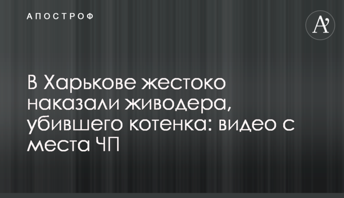 У Харкові жорстоко покарали шкуродера, що вбив кошеня: відео з місця НП