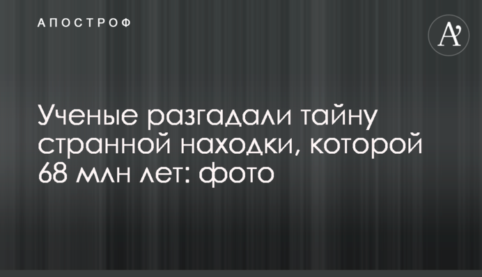 Вчені розгадали таємницю дивної знахідки, якій 68 млн років: фото