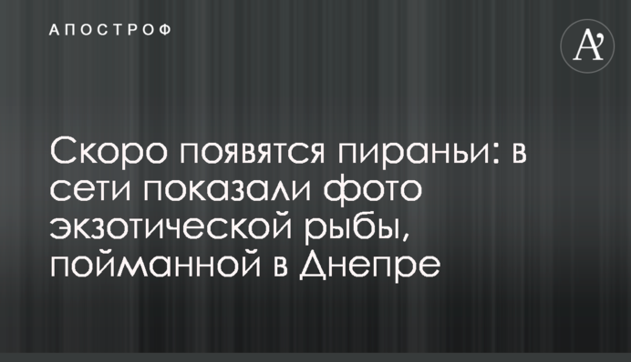 Скоро появятся пираньи: в сети показали фото экзотической рыбы, пойманной в Днепре