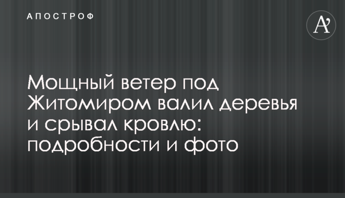 Потужний вітер під Житомиром валив дерева і зривав покрівлю: подробиці і фото