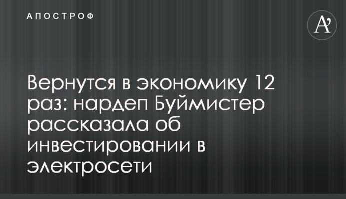 Вернутся в экономику 12 раз: нардеп Буймистер рассказала об инвестировании в электросети