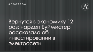 Вернутся в экономику 12 раз: нардеп Буймистер рассказала об инвестировании в электросети