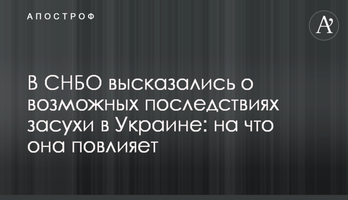 В СНБО высказались о возможных последствиях засухи в Украине: на что она повлияет
