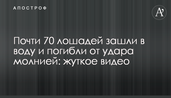 Почти 70 лошадей зашли в воду и погибли от удара молнией: жуткое видео