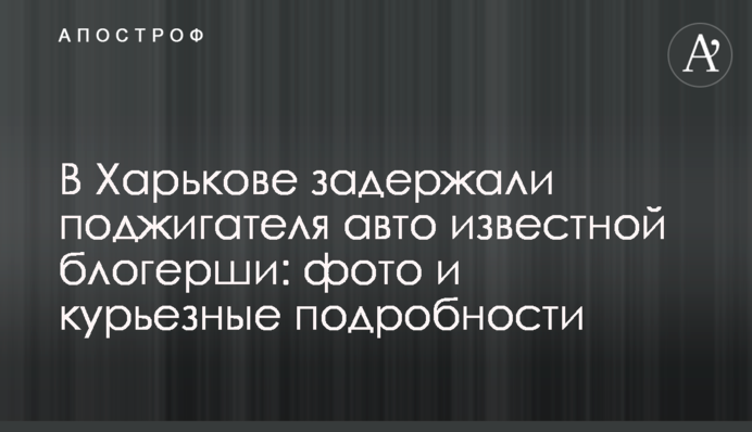 У Харкові затримали палія авто відомої блогерші: фото і курйозні подробиці