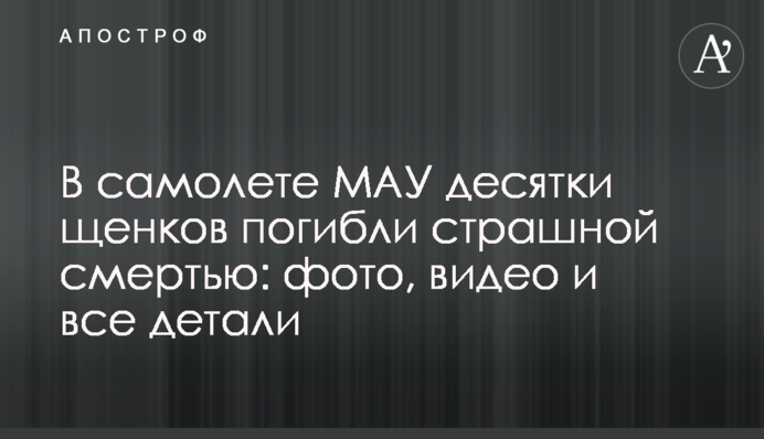 В самолете МАУ десятки щенков погибли страшной смертью: фото, видео и все детали