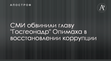 СМИ обвинили главу "Госгеонадр" Опимаха в восстановлении коррупции