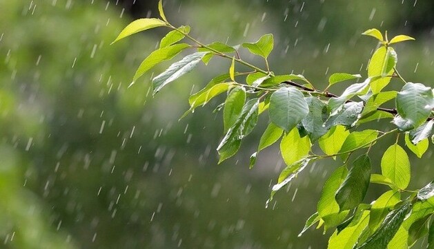 В Україні буде небезпечна погода: синоптики дали детальний прогноз на 23 червня