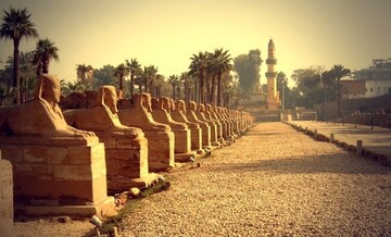 Археологи розкопали давньоєгипетський "завод": фото унікальної знахідки