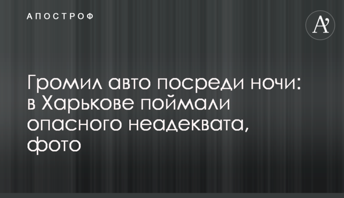 Громил авто посреди ночи: в Харькове поймали опасного неадеквата, фото