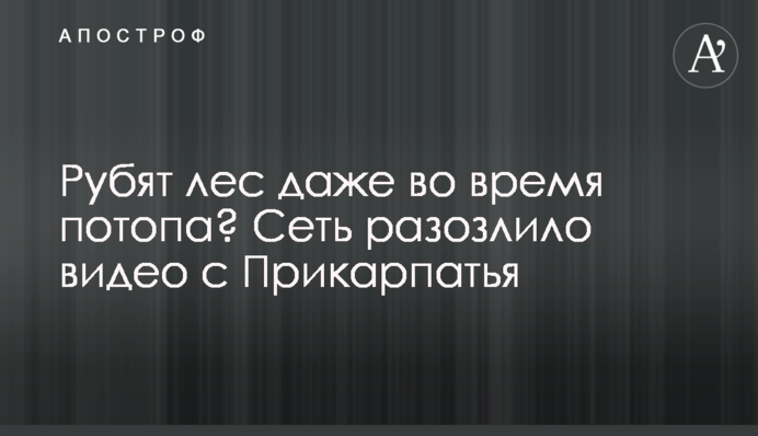 Рубят лес даже во время потопа? Сеть разозлило видео с Прикарпатья