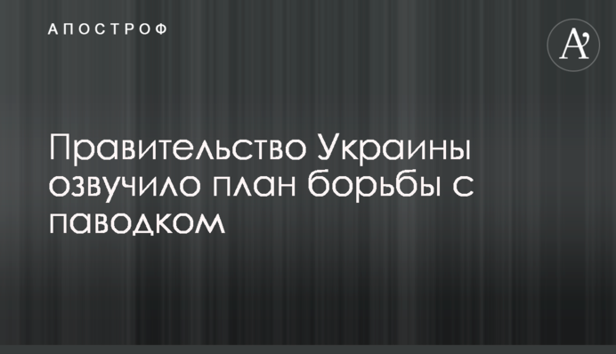 Правительство Украины озвучило план борьбы с паводком