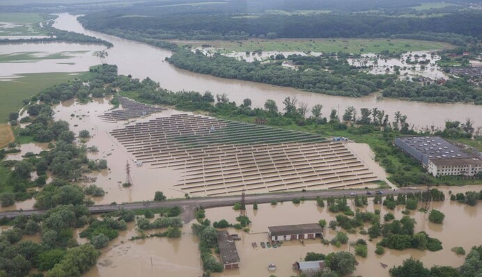 Екокатастрофа в Карпатах: як відновити ліси і скільки потрібно часу