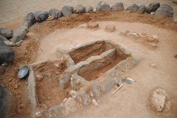 В Индии раскопали древние "гробницы" необычной формы: фото загадочной находки