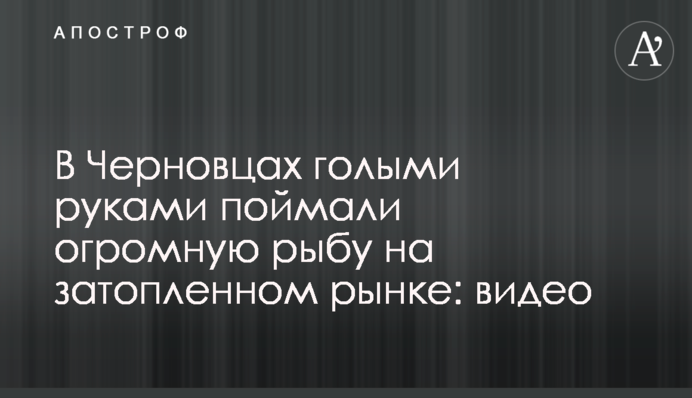 У Чернівцях голими руками зловили величезну рибу на затопленому ринку: відео