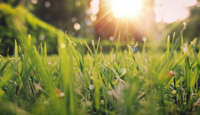 Погоду в Украине определит антициклон: синоптик рассказала, ждать ли "сюрпризов"