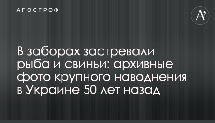 У парканах застрягали риба і свині: архівні фото великої повені в Україні 50 років тому