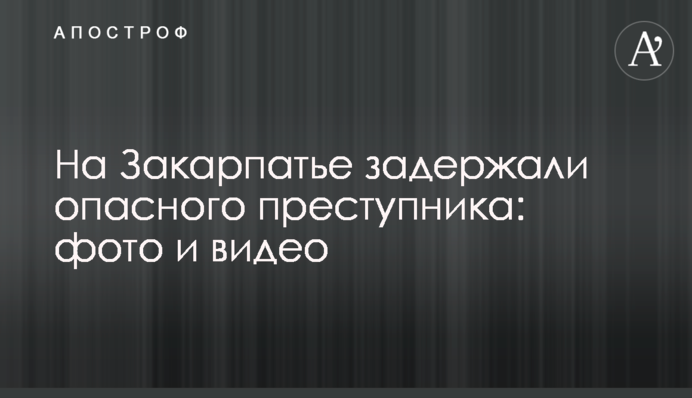 На Закарпатті затримали небезпечного злочинця: фото і відео