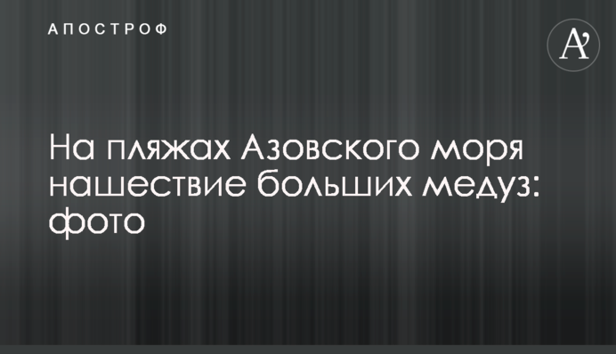 На пляжах Азовского моря нашествие больших медуз: фото