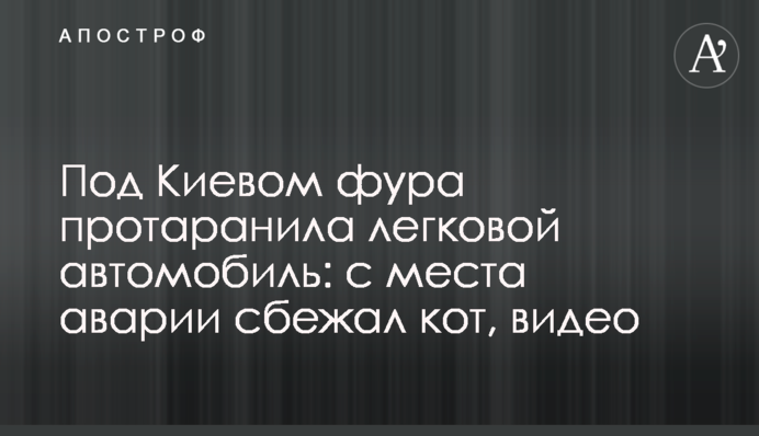 Під Києвом фура протаранила легковий автомобіль: з місця аварії втік кіт, відео