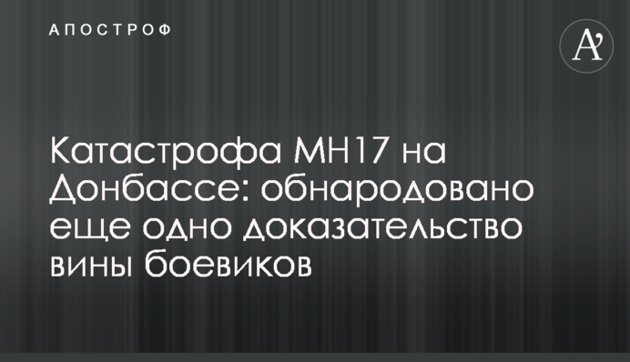 Катастрофа МН17 на Донбассе: обнародовано еще одно доказательство вины боевиков