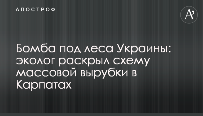Бомба під ліси України: еколог розкрив схему масової вирубки в Карпатах