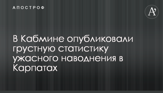 В Кабмине опубликовали грустную статистику ужасного наводнения в Карпатах