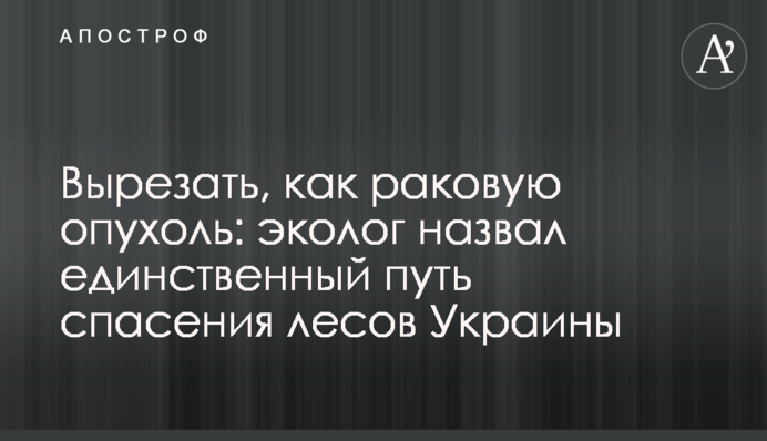 Вирізати, як ракову пухлину: еколог назвав єдиний шлях порятунку лісів України