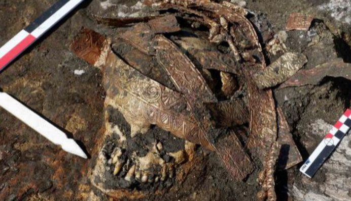 Вчені розгадали таємницю скіфського воїна з кургану в Сибіру: результат вразив всіх, фото