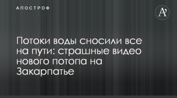 Потоки воды сносили все на пути: страшные видео нового потопа на Закарпатье