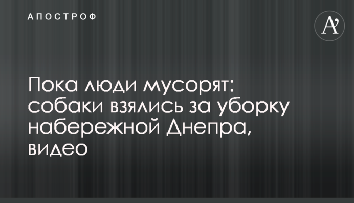 Поки люди смітять: собаки взялися за прибирання набережної Дніпра, відео