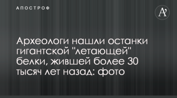 Археологи знайшли рештки гігантської "літаючої" білки, що жила більше 30 тисяч років тому: фото