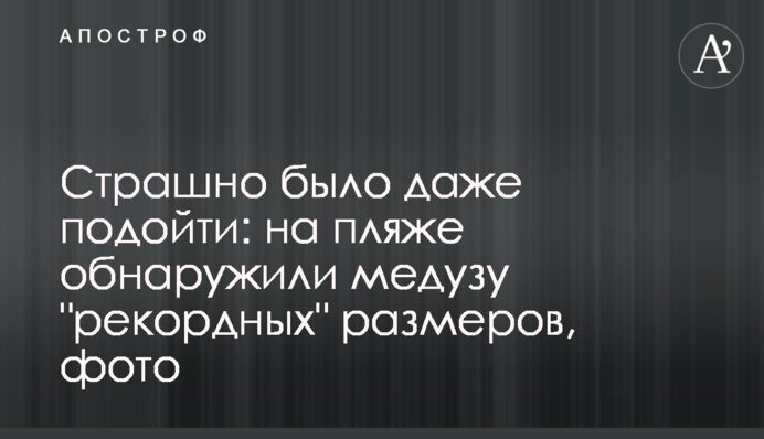Страшно було навіть підійти: на пляжі виявили медузу 