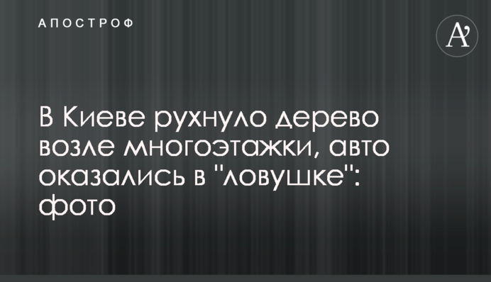 У Києві звалилося дерево біля багатоповерхівки, авто опинилися в 