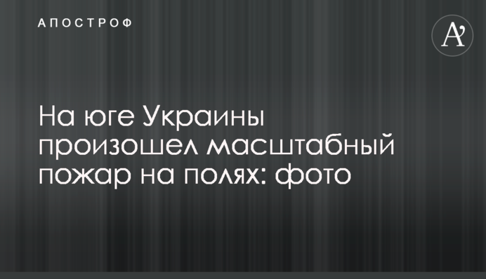 На юге Украины произошел масштабный пожар на полях: фото