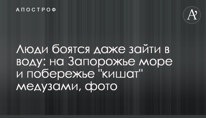 Люди боятся даже зайти в воду: на Запорожье море и побережье 