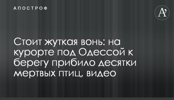 Стоит жуткая вонь: на курорте под Одессой к берегу прибило десятки мертвых птиц, видео