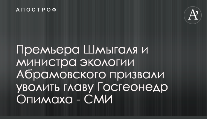 Премьера Шмыгаля и министра экологии Абрамовского призвали уволить главу Госгеонедр Опимаха - СМИ