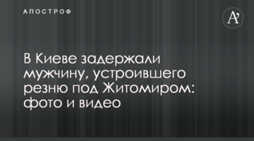 В Киеве задержали мужчину, устроившего резню под Житомиром: фото и видео