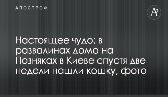 Взрыв гранаты в офисе ОПЗЖ в Полтаве: появились новые важные подробности