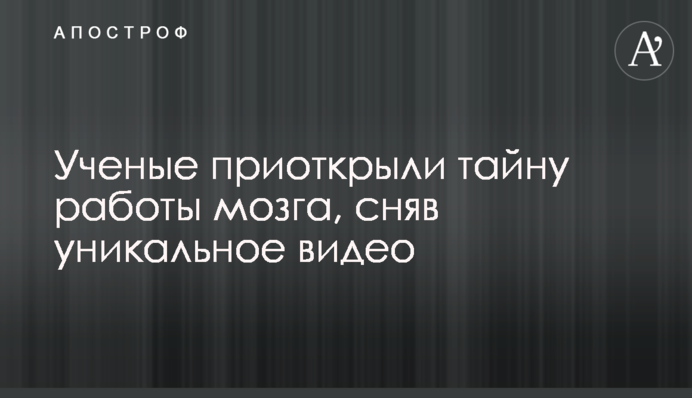 Вчені відкрили таємницю роботи мозку, знявши унікальне відео