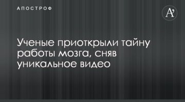 Вчені відкрили таємницю роботи мозку, знявши унікальне відео