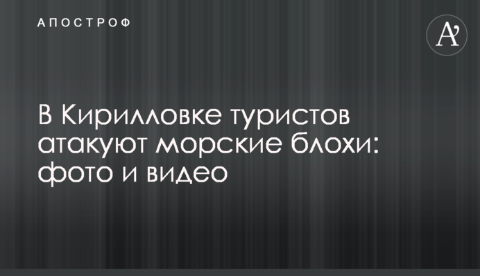 У Кирилівці туристів атакують морські блохи: фото і відео