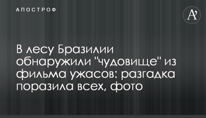 В лесу Бразилии обнаружили 