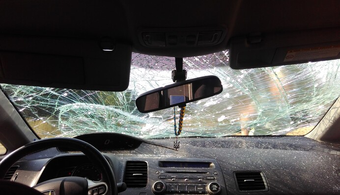 ​Лось розбив авто і втік з місця ДТП