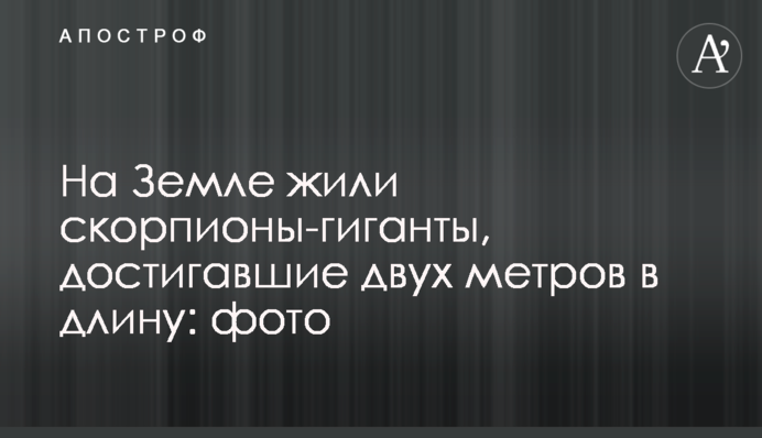 На Земле жили скорпионы-гиганты, достигавшие двух метров в длину: фото